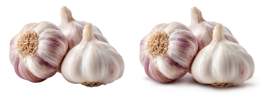 Cabeça de alho  em fundo transparente com e sem sombra projetada.