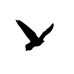 Seagull silhouette