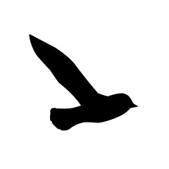 Seagull silhouette