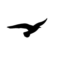 Seagull silhouette