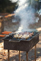 Grilling Succulent Meats and Vegetables over an Open Flame, Surrounded by Lush Nature and Emitting Delicious Aromas of a Perfect BBQ Experience