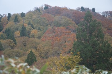 氷ノ山　登山の風景
