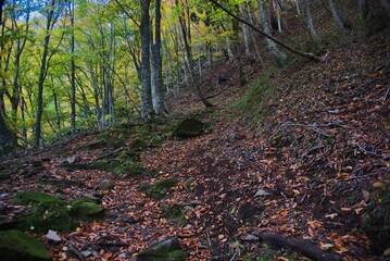 氷ノ山　登山の風景

