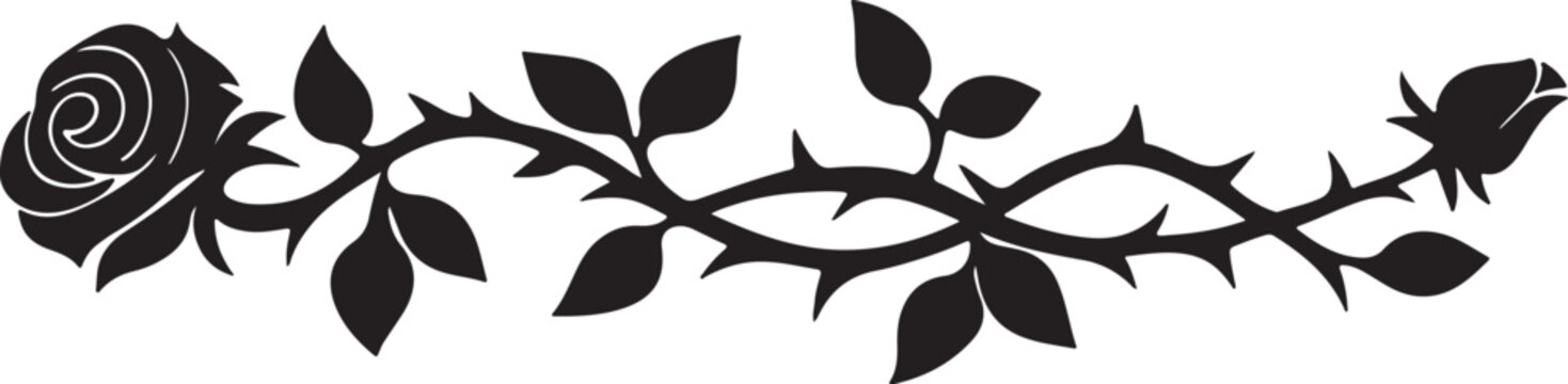 beautiful long element of rose interlacing thorns silhouette vector