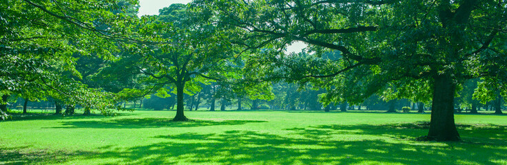 緑の公園