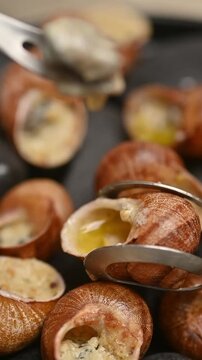 French stuffed snails in shells served on black stones. Close-up food video showing the dish on a plate and a fork taking one snail