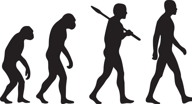 Silhouette of theory of evolution of man silhouette vector on a white backgraound