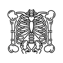 Black and white line art illustration of a human torso skeleton, isolated on