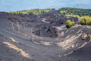 Volcano Etna
