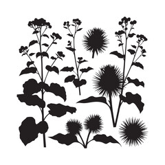 Burdock botanical silhouettes