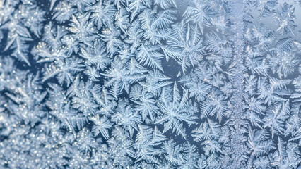 Intricate Fern Frost Pattern on a Window with Bokeh and Icy Texture