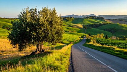 Winding asphalt road passes a lush tree, heading into grassy, rolling hills under a serene, clear sky at dusk
