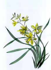 Yellow Orchid Flowers in Asian Style