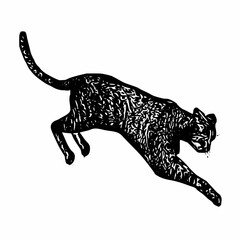 Hand-drawn leaping cat in vintage engraved style with detailed fur texture, illustrated dynamically in mid-motion.