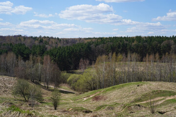 Spring forest and rolling meadows covered with new, fresh greenery. Sunny day. Blue sky with light white clouds. Mixed forest on the horizon. Temperate zone, European landscape. Horizontal photo.