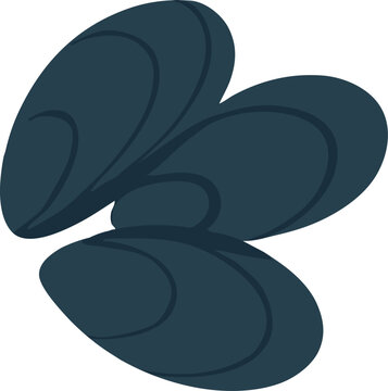 Cluster of dark blue mussel shells