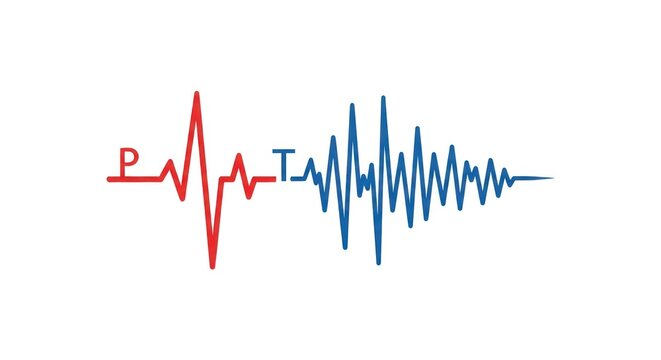 Health pulse rhythm, diagram of P, T waves in red and blue