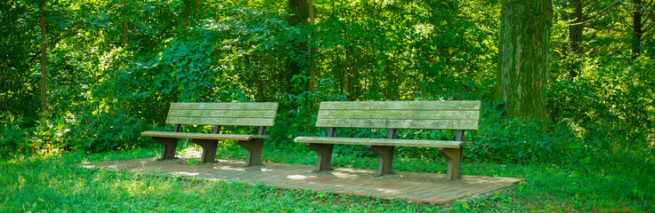 ベンチ　緑の公園