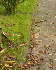 Meadow, path and leaf rake in autumn