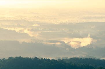 The beautiful landscape of the tree in the rice fields, The sun's rays through at the top of the hill, and the moving fog over the tree, the countryside of Phayao Northern Thailand.