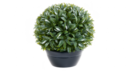 Green artificial plant round topiary potted shrub decorative foliage modern home decor isolated plastic leaves realistic texture indoor accent fresh look
