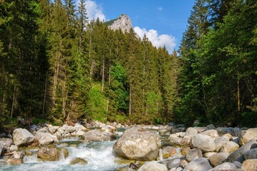 A clear mountain river rushing over large rocks in a dense evergreen forest with a high rocky peak in the background. Bright summer sunlight highlights the vibrant green trees and natural alpine scene