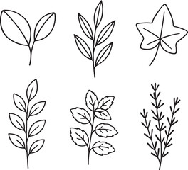 Collection of 6 hand drawn leaf and herb line art vector icons
