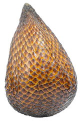 Single Whole Salak Fruit, Snake Fruit, Isolated on Transparent Background