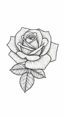 Detailed Rose Drawing - A Classic Floral Illustration with Delicate Shading.