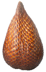 Tropical Snake Fruit, Buah Salak, Single Object in Transparent Background