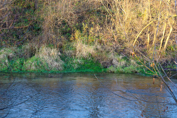 A quiet autumn landscape depicts a riverbank covered with dry grass and bushes, illuminated by soft sunlight. The water surface reflects the calm sky, creating an atmosphere of tranquility and natural