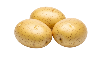 Fresh potatoes, three russet potatoes on white