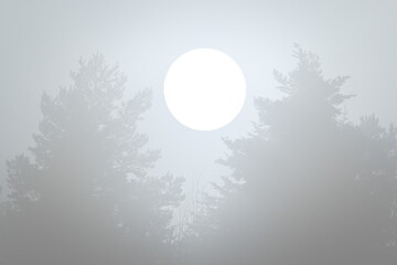 Mystical winter forest at sunrise — dense fog glowing around the rising sun above dark conifer silhouettes