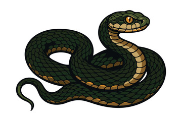 A coiled dark green viper snake with yellow markings on its belly and a menacing expression on a white background