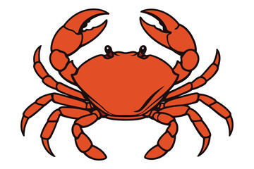 A vibrant illustration of a bright orange crab with its claws raised defensively against a clean white background perfect for summer themes