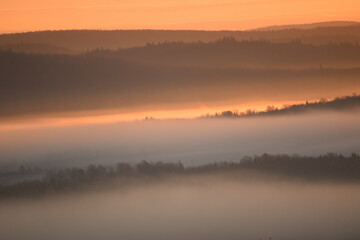 The Appalachian forest on an autumn morning, Sainte-Apolline, Québec, Canada