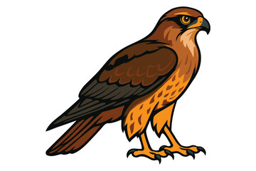 Detailed illustration of a majestic brown hawk with sharp eyes and powerful talons perched elegantly against a clean white background