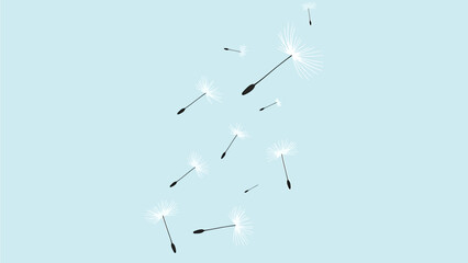 Numerous delicate dandelion seeds with feathery white parachutes gracefully drifting and falling against a serene light blue sky background.