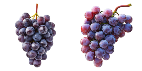 Two bunches of delicious grapes, perfect for a refreshing snack