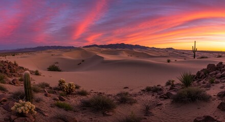 Desert sunset landscape with dramatic sky and cactus