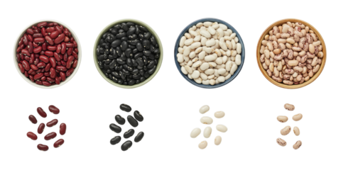 Four Distinct Dried Bean Varieties in Bowls with Scattered Samples on White.