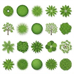 Top view collection of various green tree and plant icons