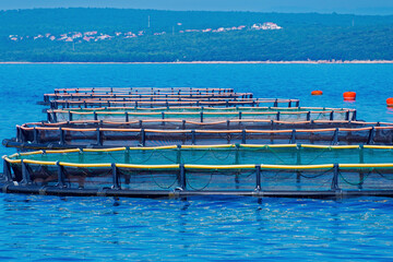 Coastal fish farm in tranquil blue sea with circular nets