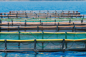 Fish farming nets in an aquaculture facility on a sunny day
