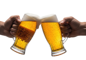 Two tanned male hands clinking sweaty pilsner glasses of glowing golden lager beer with creamy foam on a white studio backdrop. concept for beverage advertising