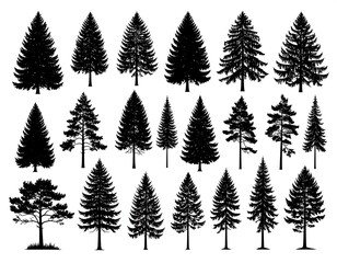 A collection of various evergreen trees silhouetted in black against a white background