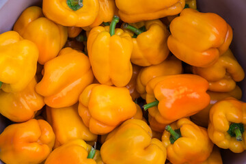 Freshly picked yellow bell peppers in container, fragment close-up
