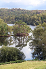 Fototapeta premium Island with trees and heather, Tarn Hows, Lake District Cumbria, England 