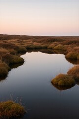 Mires and pools across a peat bog