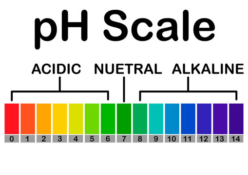 pH Scale Diagram for Acids and Bases easy-to-read pH scale chart showing acidic, neutral, and alkaline ranges with color bars from 0 to 14 for science education